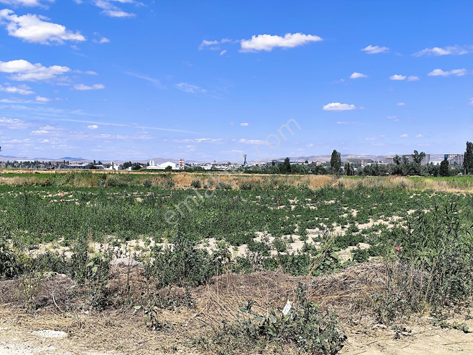 Esenboğa Yolu Yakını İmara Yakın Yüksek Kazanç Potansiyeli Tarla — fotoğraf 5