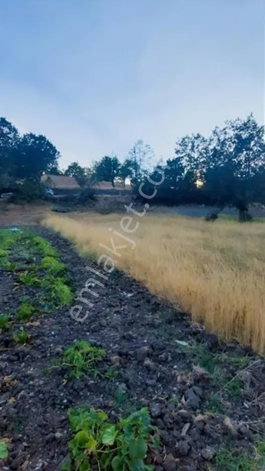 Müstakil Evinizi Yapın Dev Arsa — fotoğraf 2