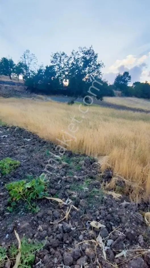 Müstakil Evinizi Yapın Dev Arsa — fotoğraf 3