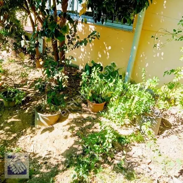 Yeniköy'de/satılık Arsa/381m²(yatırımlık) — fotoğraf 2