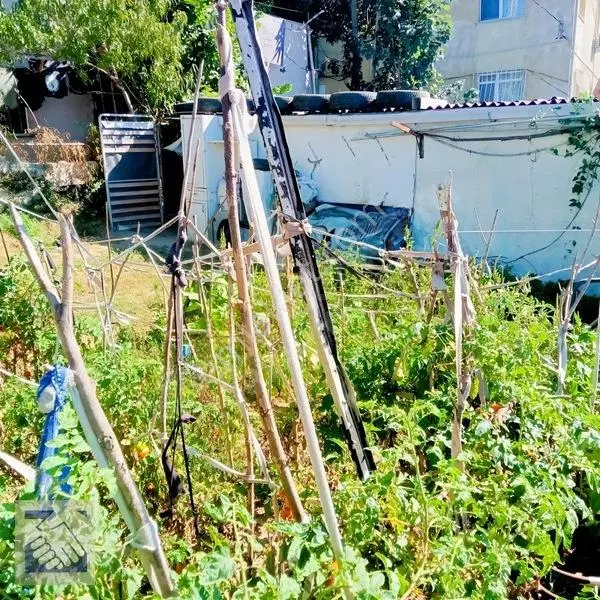 Yeniköy'de/satılık Arsa/381m²(yatırımlık) — fotoğraf 3
