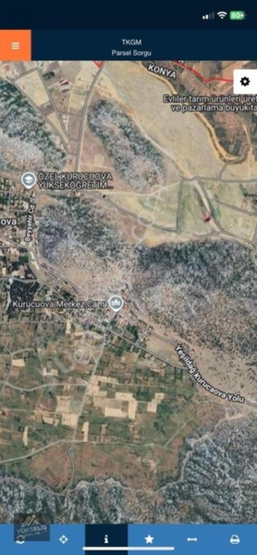Konya Beyşehir Kurucuova'Da Tek Tapu Tarla Satılıktır