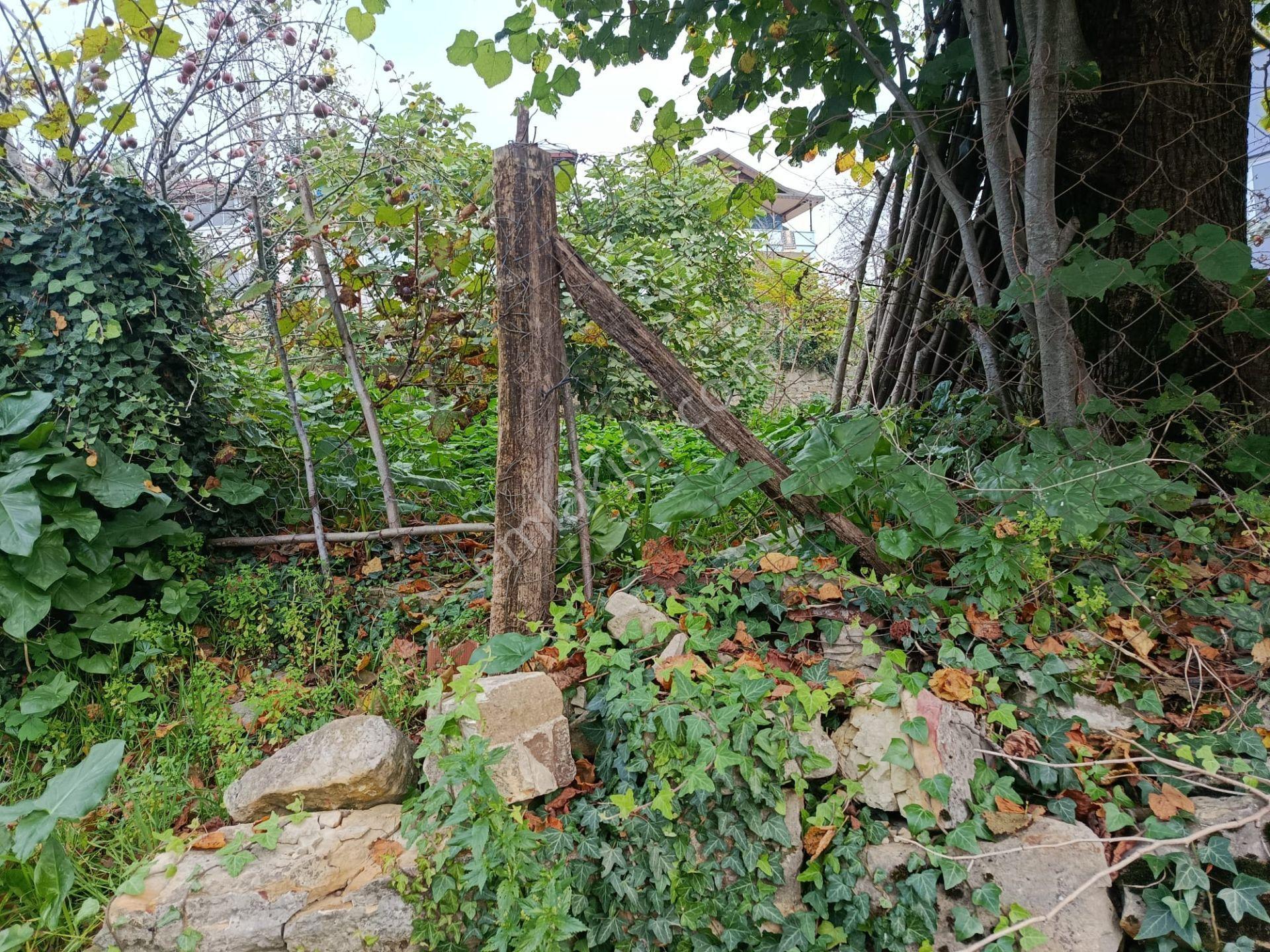 Bağlarca Mahallesinde Satılık Arsa