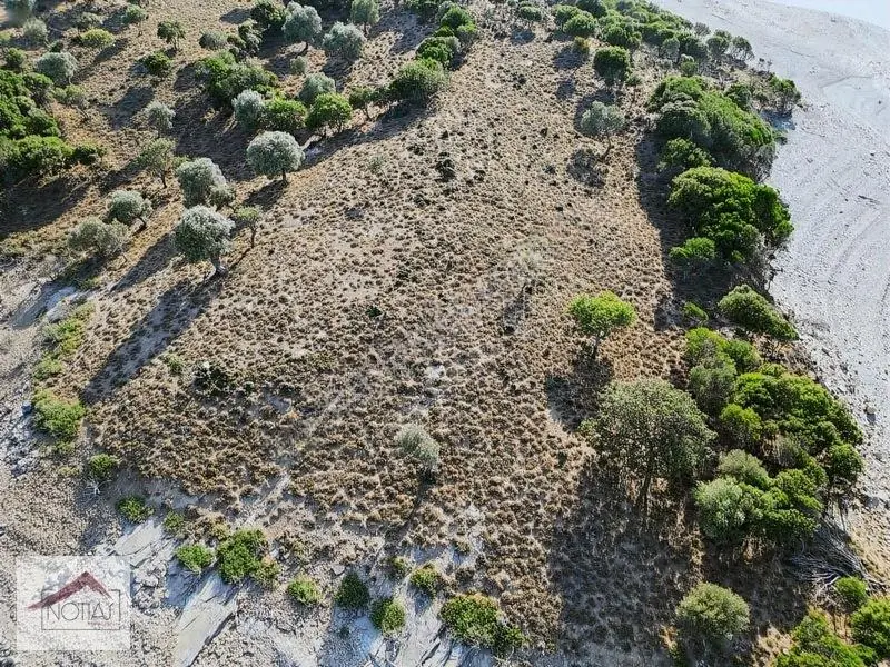Notıas Real Estate Gayrimenkul'den Tarla — fotoğraf 4