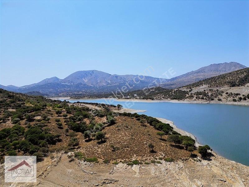 Notıas Real Estate Gayrimenkul'den Tarla — fotoğraf 5