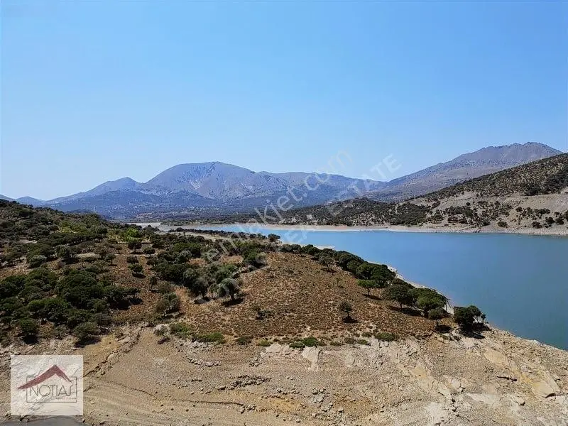 Notıas Real Estate Gayrimenkul'den Tarla — fotoğraf 6