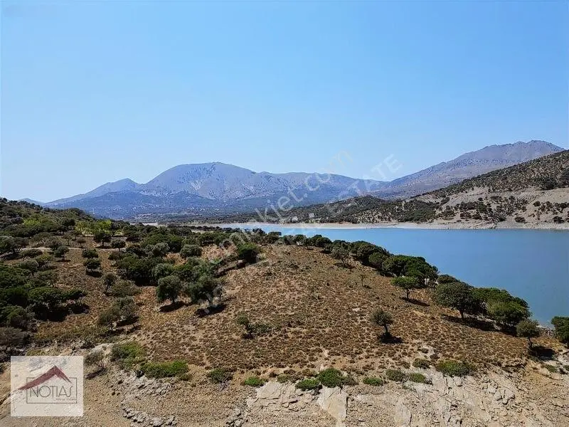 Notıas Real Estate Gayrimenkul'den Tarla — fotoğraf 7