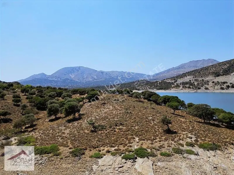 Notıas Real Estate Gayrimenkul'den Tarla — fotoğraf 8