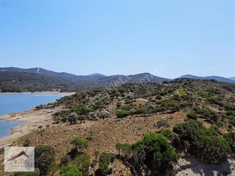 Notıas Real Estate Gayrimenkul'den Tarla — fotoğraf 10