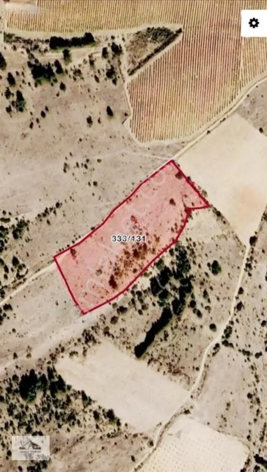 Bekilli Yahyalar'da 18.880mt2 Fırsat Tarla — fotoğraf 2