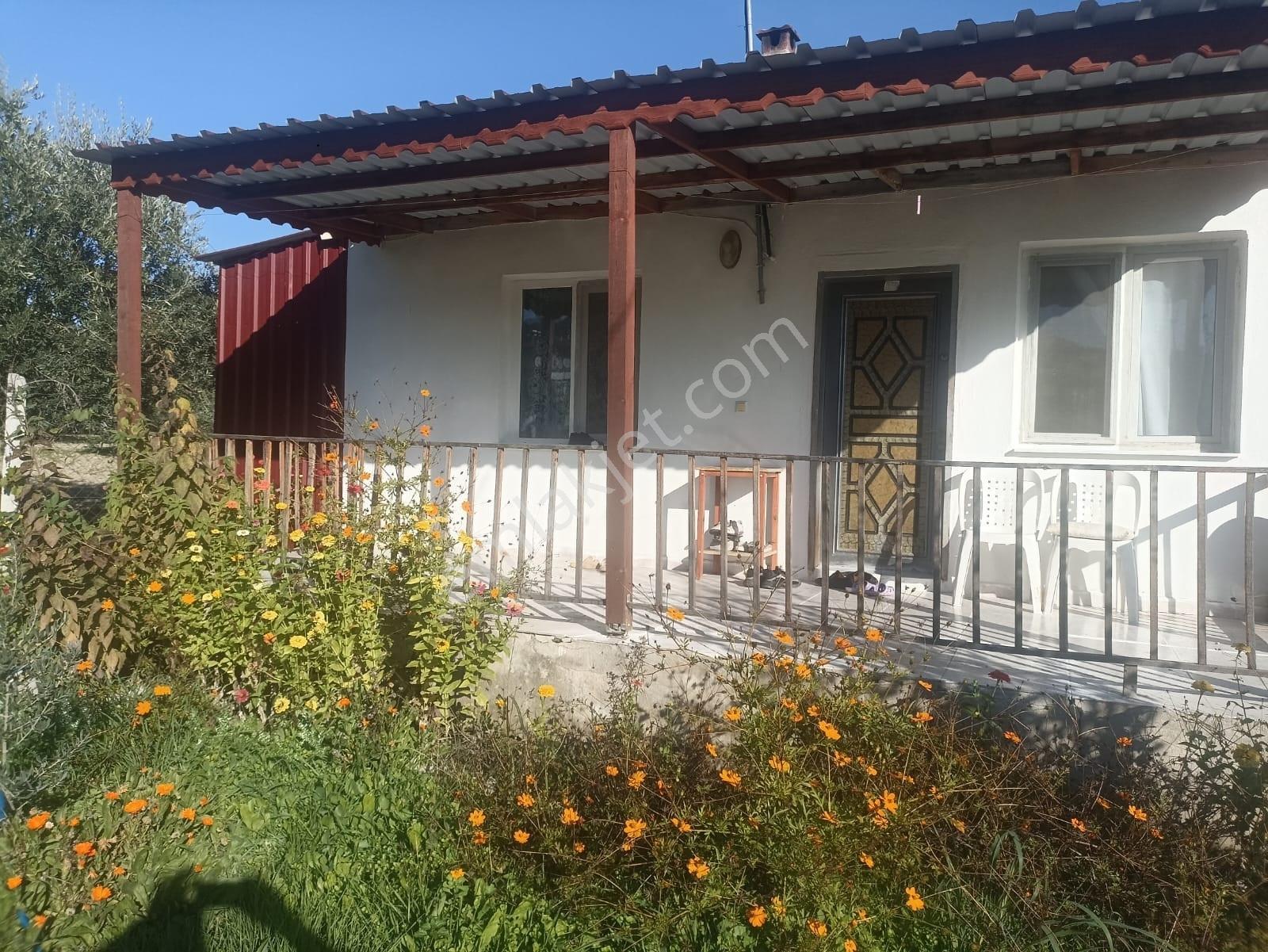 Manisa Kalemli Mahallesi 1209 M² Satılık Müstakil Ev Ve Arsası