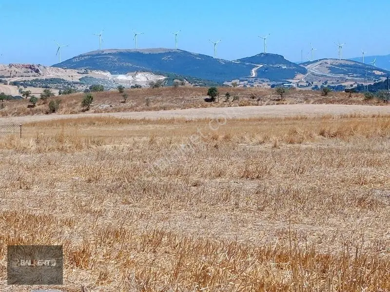 Balıkesir Karesi'de 15.927m² Yatırımlık Tarla — fotoğraf 6