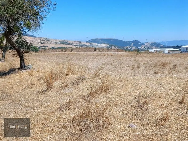 Balıkesir Karesi'de 15.927m² Yatırımlık Tarla — fotoğraf 7