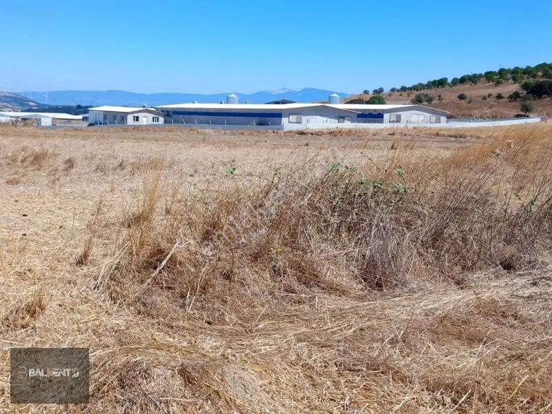 Balıkesir Karesi'de 15.927m² Yatırımlık Tarla — fotoğraf 8
