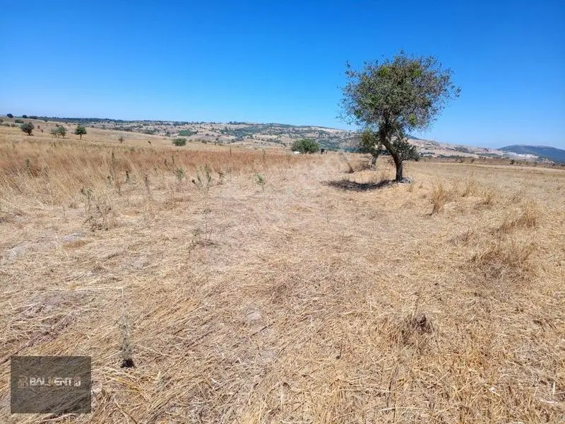Balıkesir Karesi'de 15.927m² Yatırımlık Tarla — fotoğraf 11