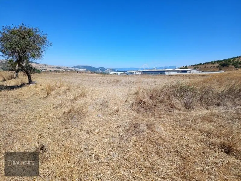 Balıkesir Karesi'de 15.927m² Yatırımlık Tarla — fotoğraf 12