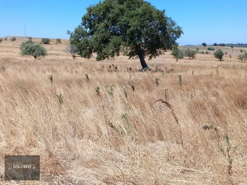 Balıkesir Karesi'de 15.927m² Yatırımlık Tarla — fotoğraf 13