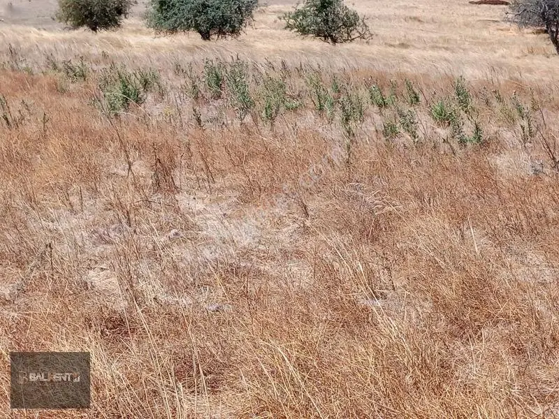 Balıkesir Karesi'de 15.927m² Yatırımlık Tarla — fotoğraf 15