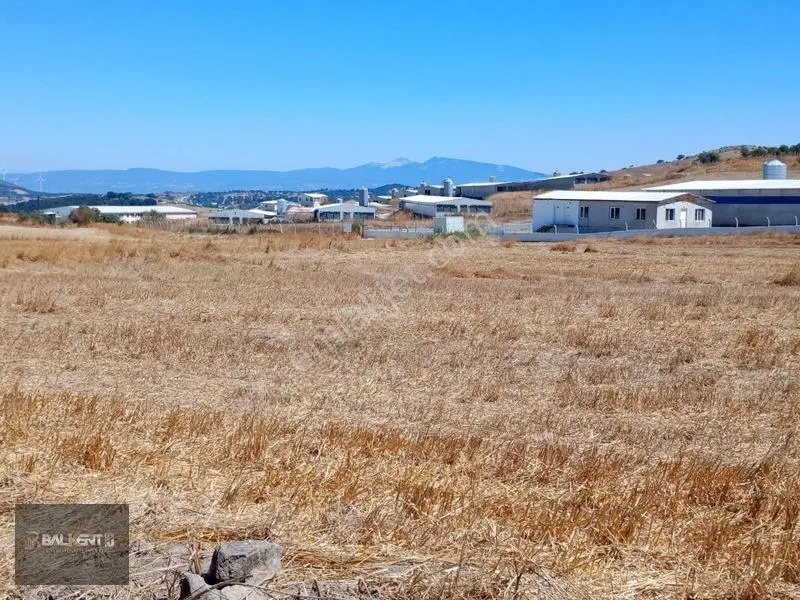 Balıkesir Karesi'de 15.927m² Yatırımlık Tarla — fotoğraf 19