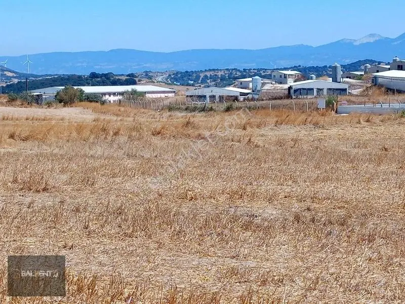 Balıkesir Karesi'de 15.927m² Yatırımlık Tarla — fotoğraf 21