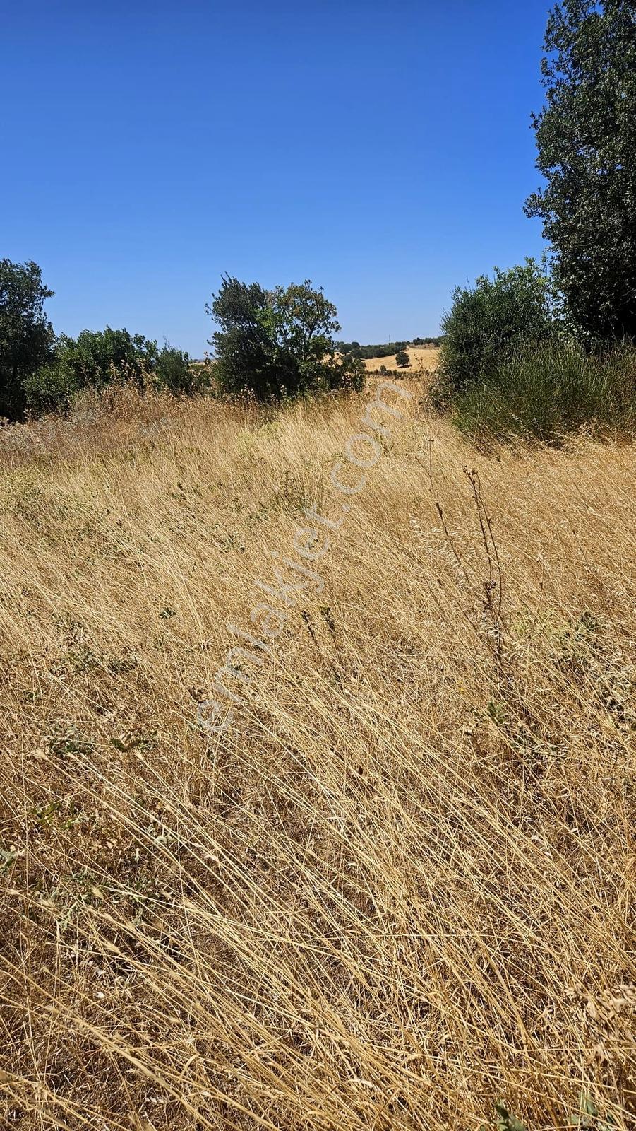 Çanakkale Merkez Işıklar Köyünde Satılık Arsa