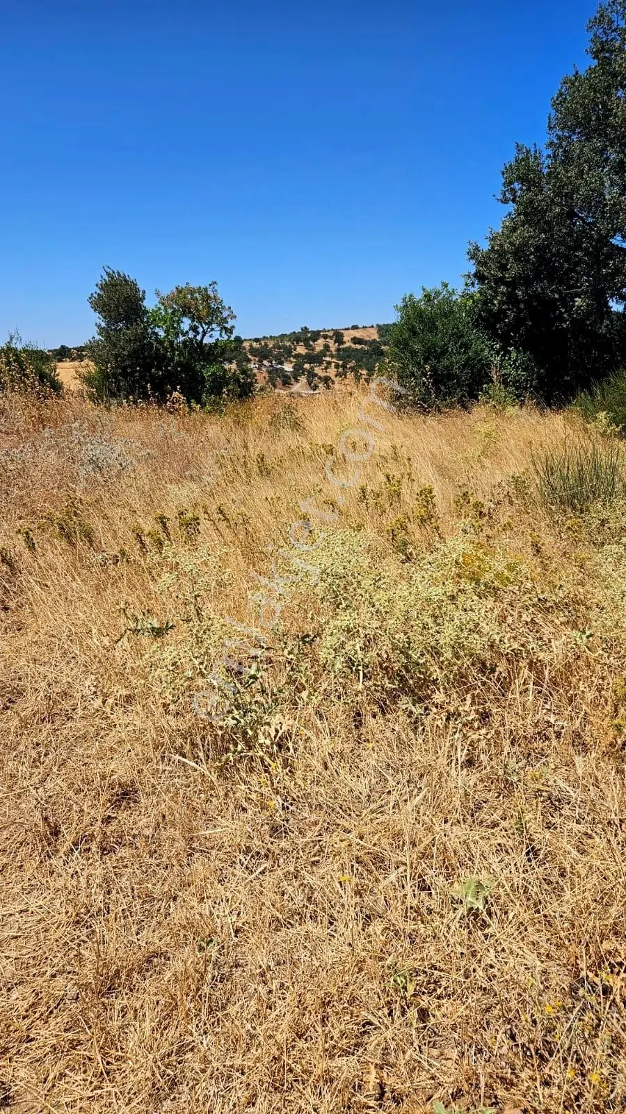 Çanakkale Merkez Işıklar Köyünde Satılık Arsa — fotoğraf 2