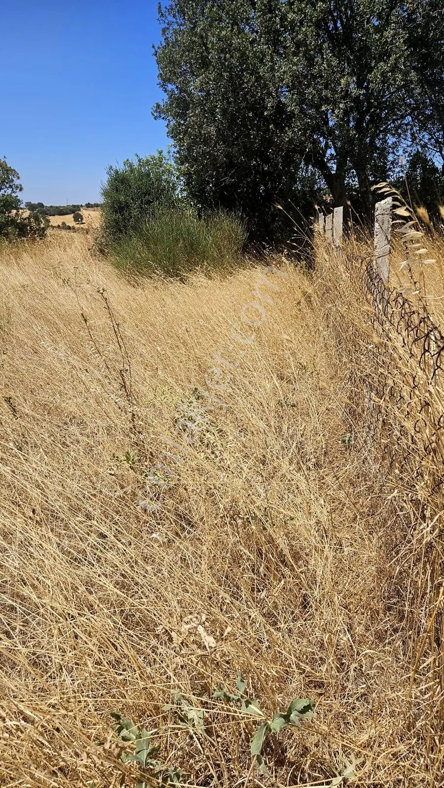 Çanakkale Merkez Işıklar Köyünde Satılık Arsa — fotoğraf 3