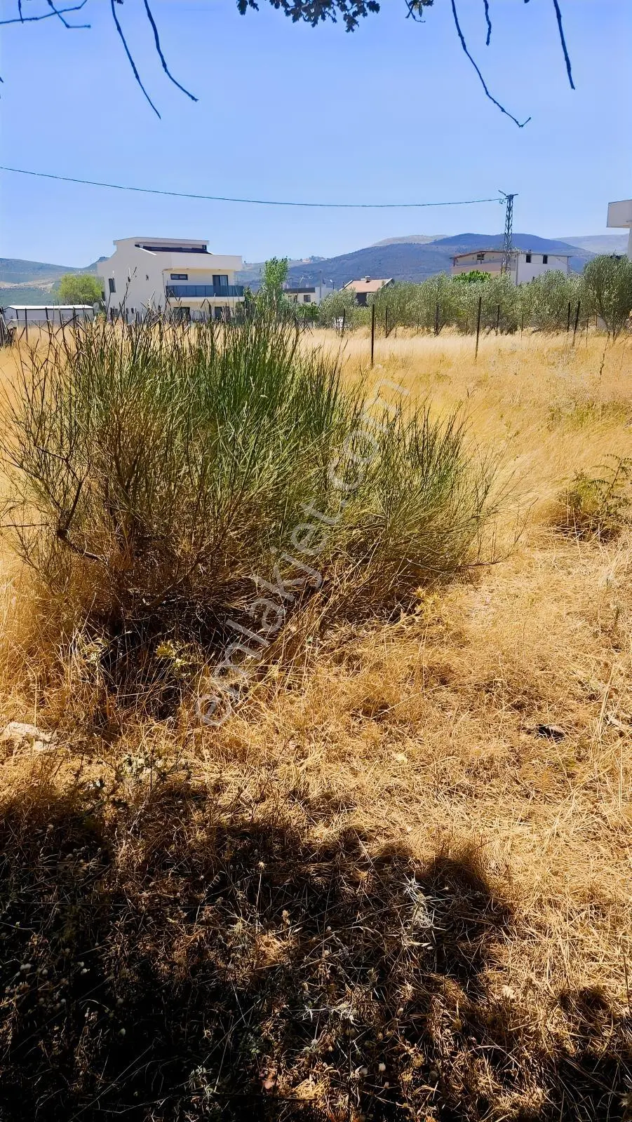Çanakkale Merkez Işıklar Köyünde Satılık Arsa — fotoğraf 6