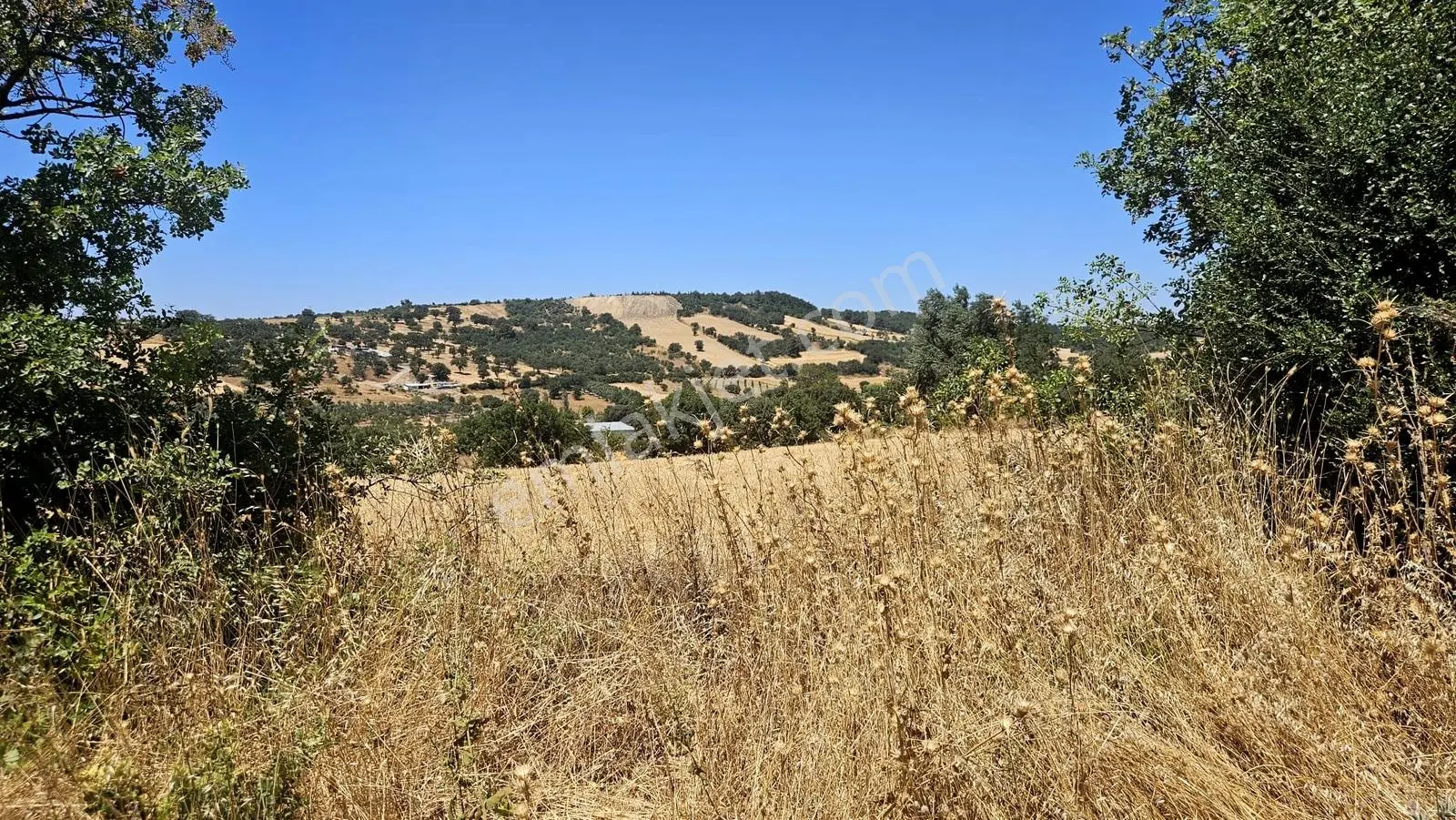 Çanakkale Merkez Işıklar Köyünde Satılık Arsa — fotoğraf 9