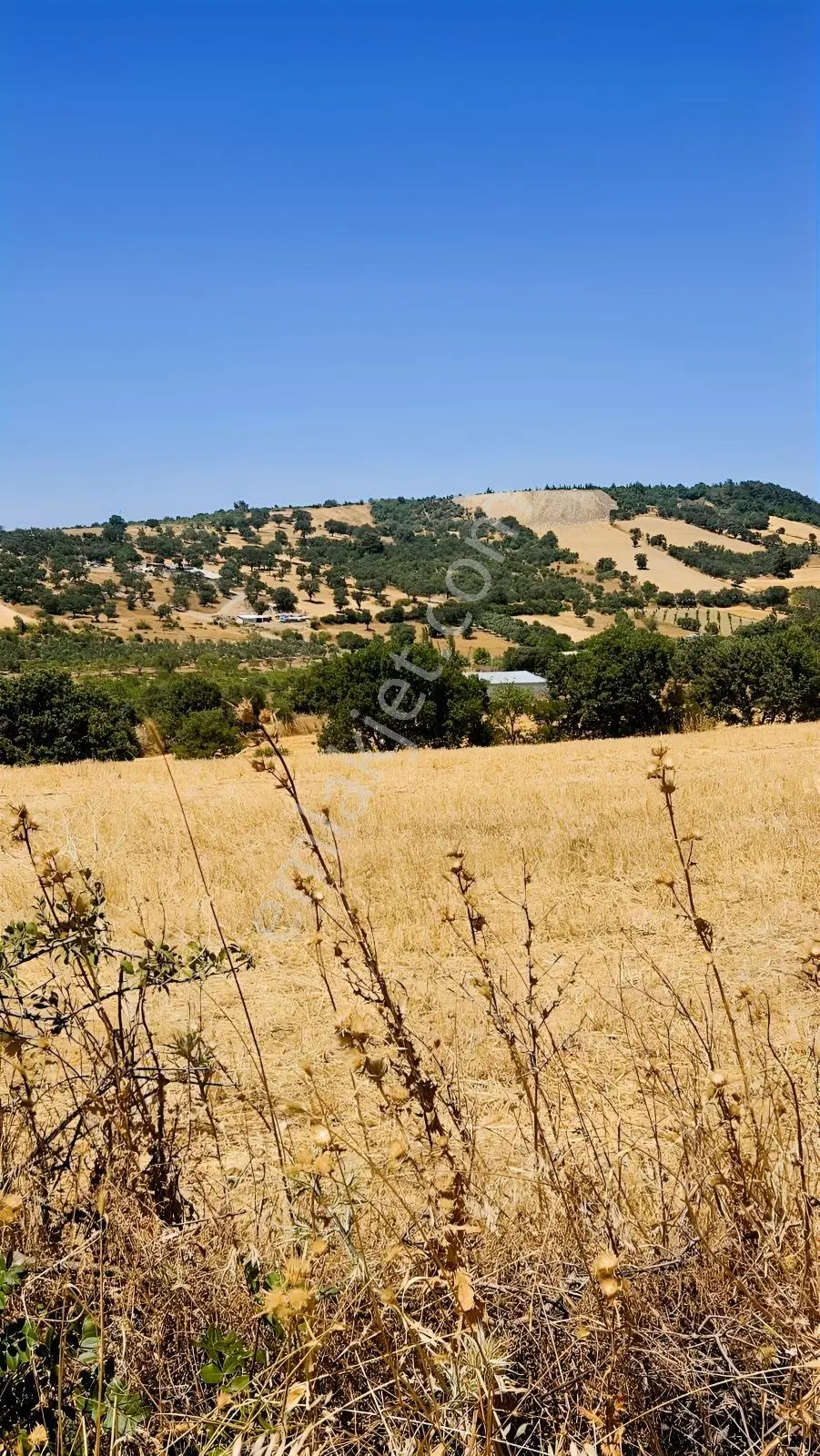 Çanakkale Merkez Işıklar Köyünde Satılık Arsa — fotoğraf 11