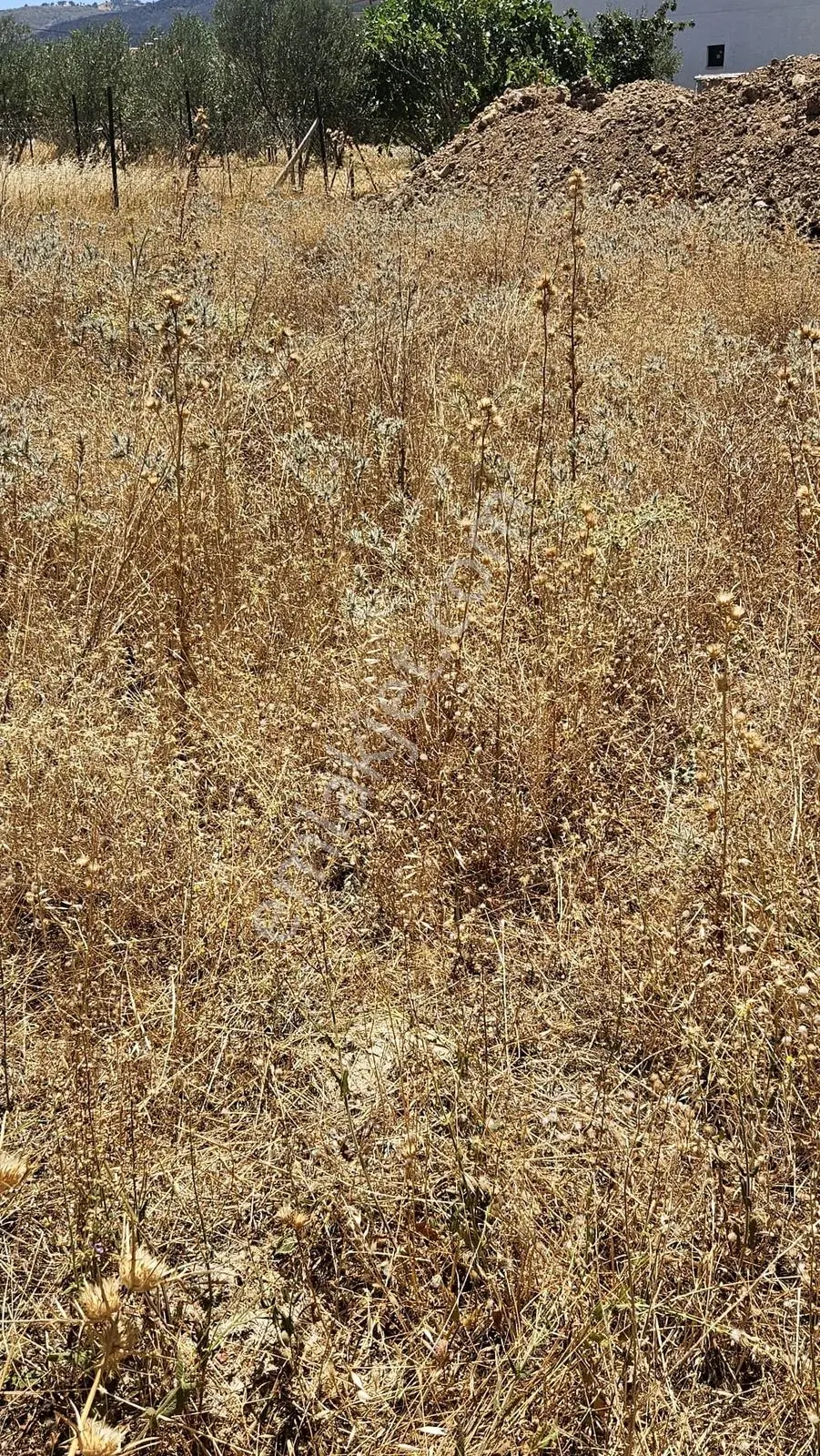 Çanakkale Merkez Işıklar Köyünde Satılık Arsa — fotoğraf 12