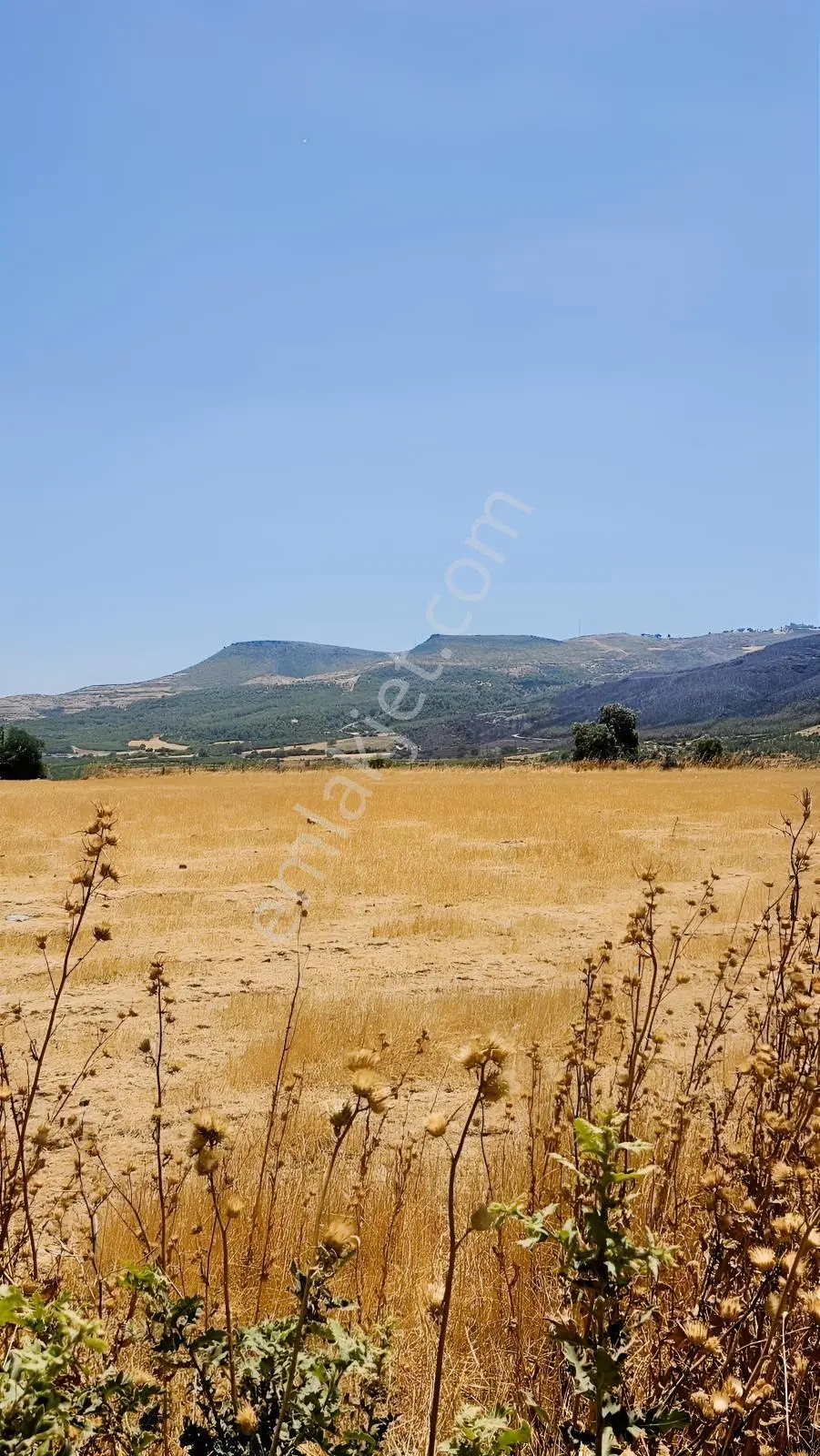 Çanakkale Merkez Işıklar Köyünde Satılık Arsa — fotoğraf 17