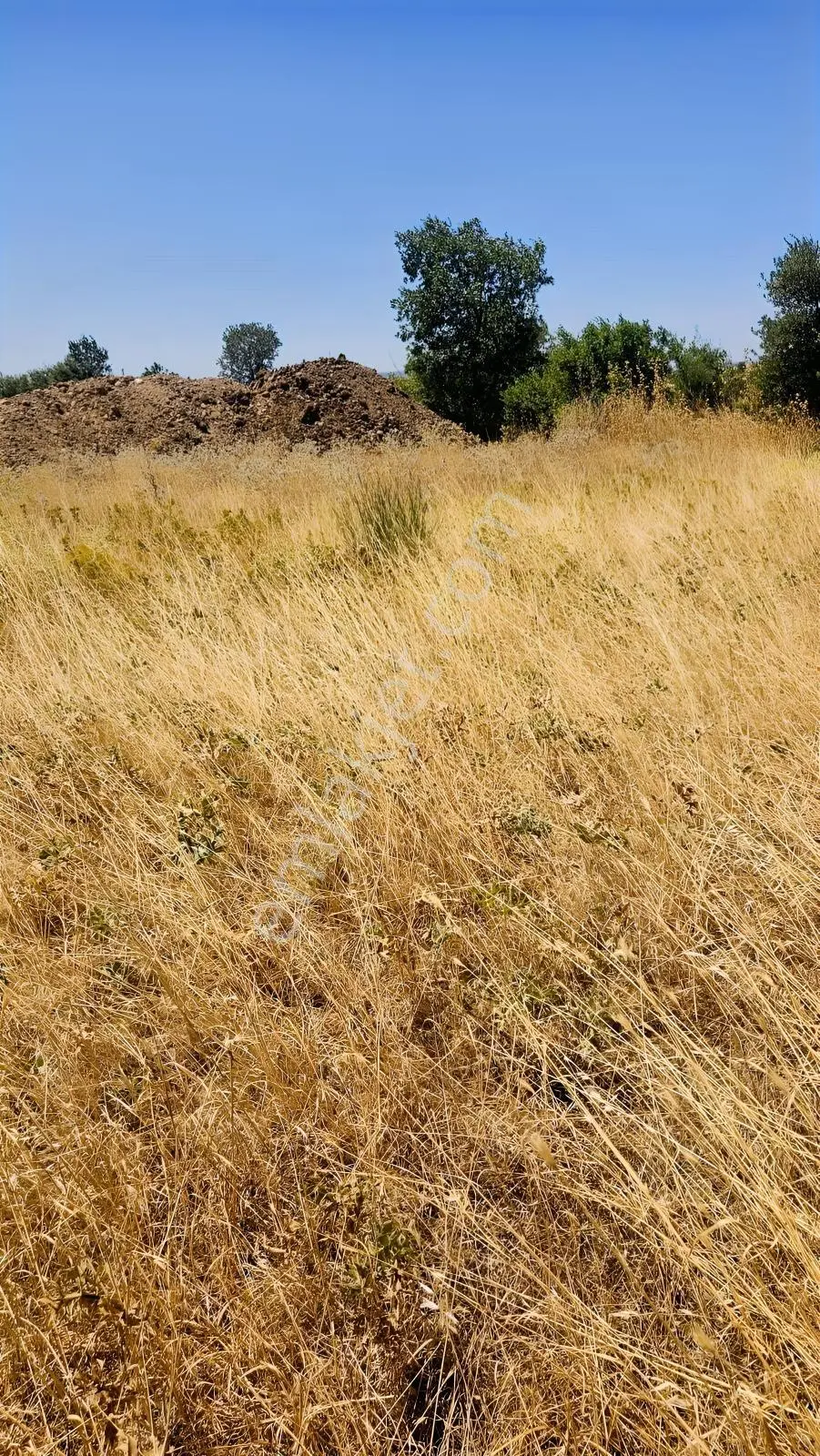 Çanakkale Merkez Işıklar Köyünde Satılık Arsa — fotoğraf 23