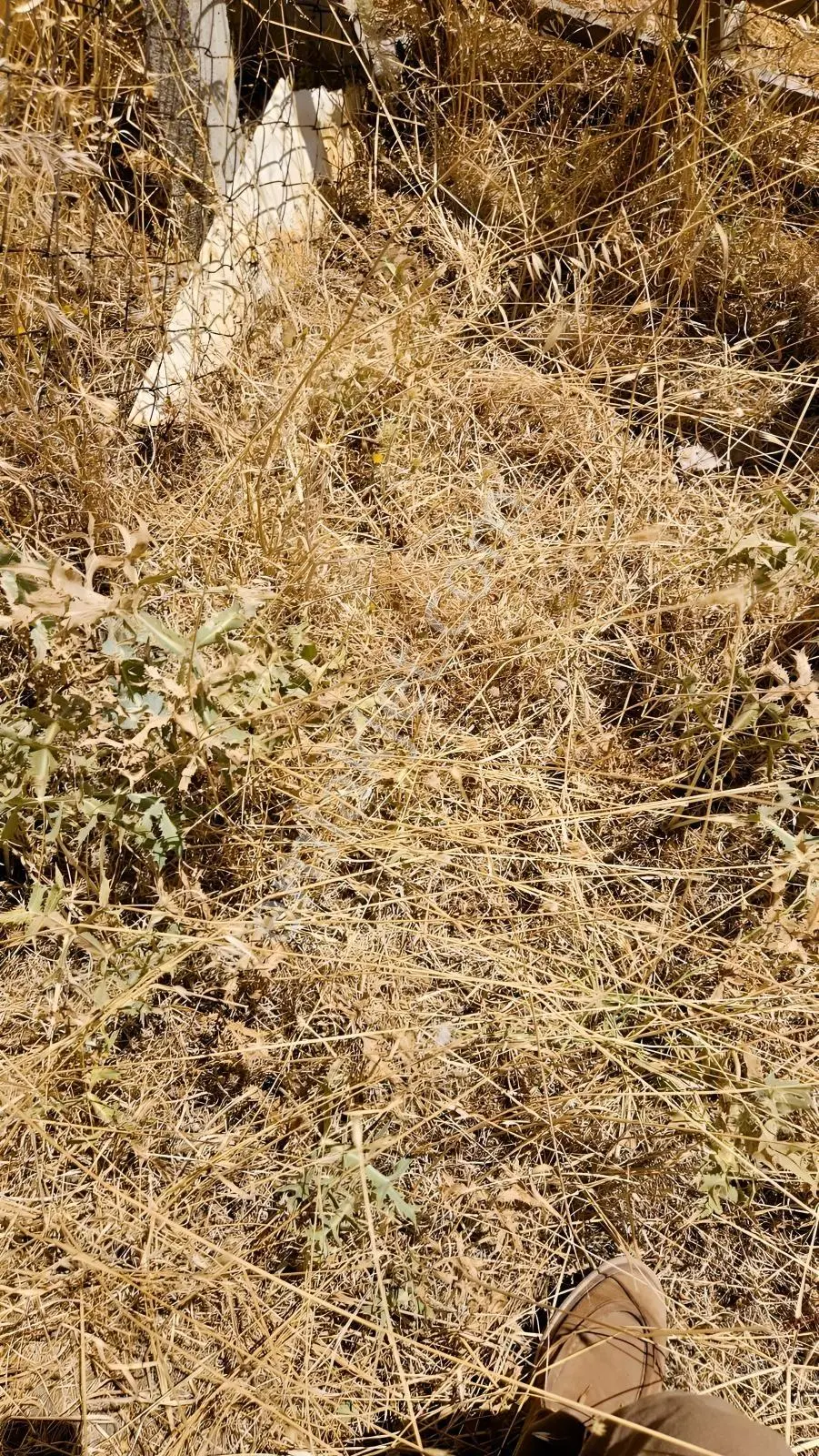 Çanakkale Merkez Işıklar Köyünde Satılık Arsa — fotoğraf 25