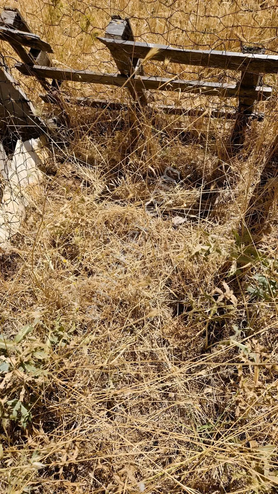 Çanakkale Merkez Işıklar Köyünde Satılık Arsa — fotoğraf 26