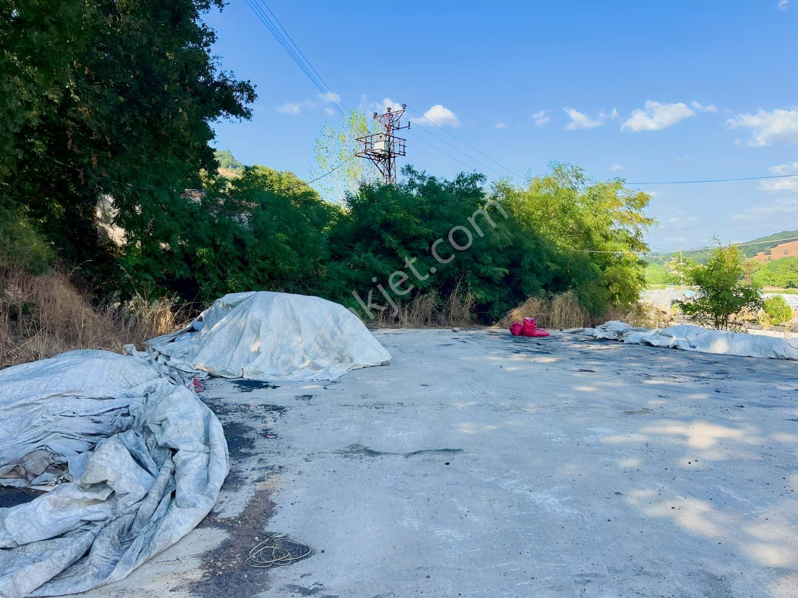 Çanakkale Çan Yuvalar Köyünde Satılık Tarla — fotoğraf 7