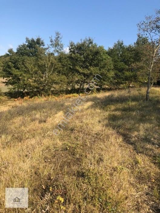 Kandıra Beycede Yola Bir Parsel Satılık 1 Dönüm Tarla — fotoğraf 2