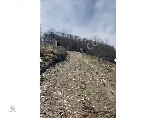 Kandıra Beycede Yola Bir Parsel Satılık 1 Dönüm Tarla — fotoğraf 8