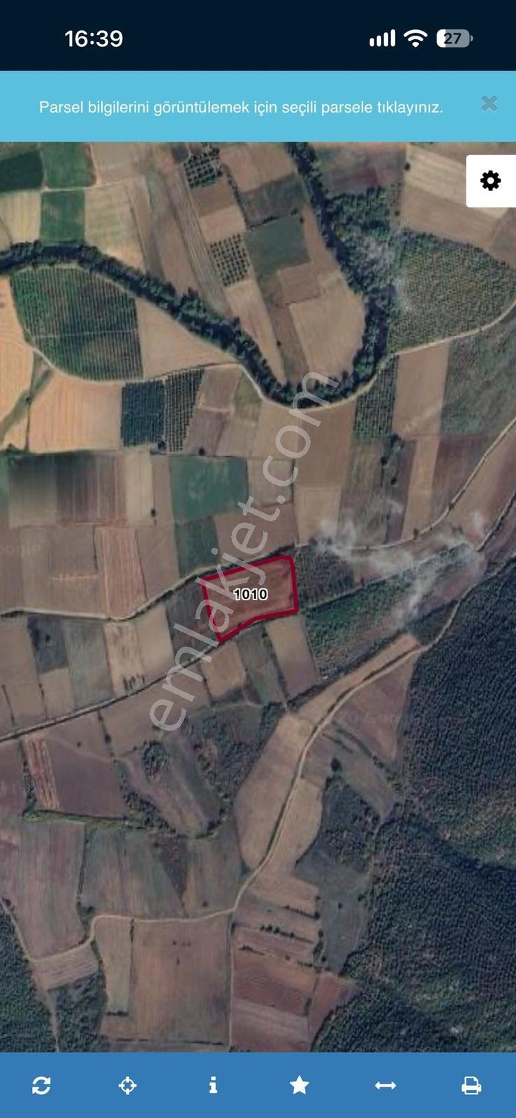 Bursa/Karacabey/Canbaz'Da Satılık Arazi