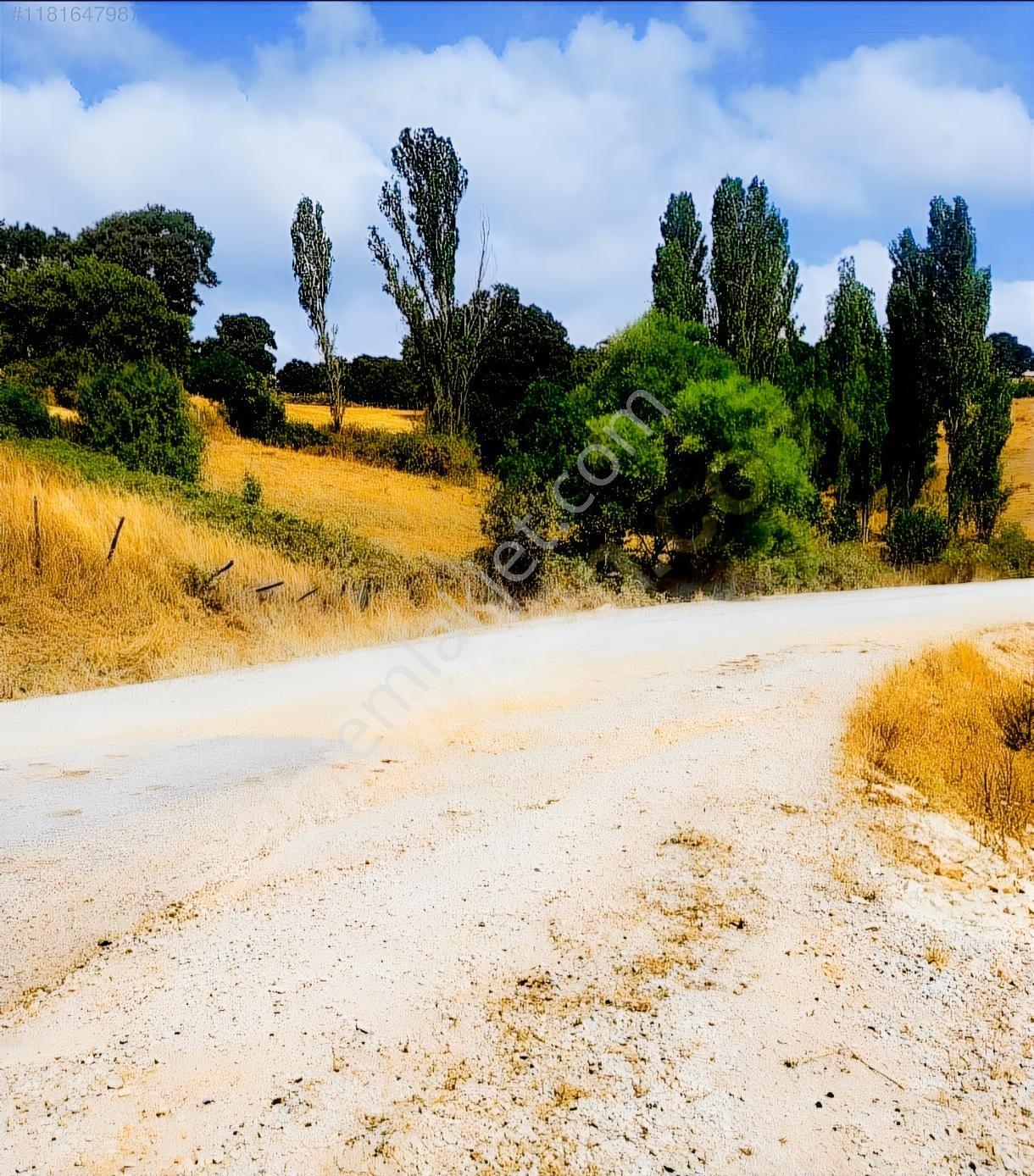 Çanakkale Çan Doğancılar Köyü Yola Cepheli Satılık Bahçe — fotoğraf 4