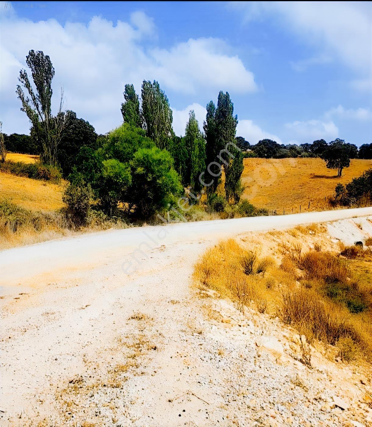 Çanakkale Çan Doğancılar Köyü Yola Cepheli Satılık Bahçe — fotoğraf 5