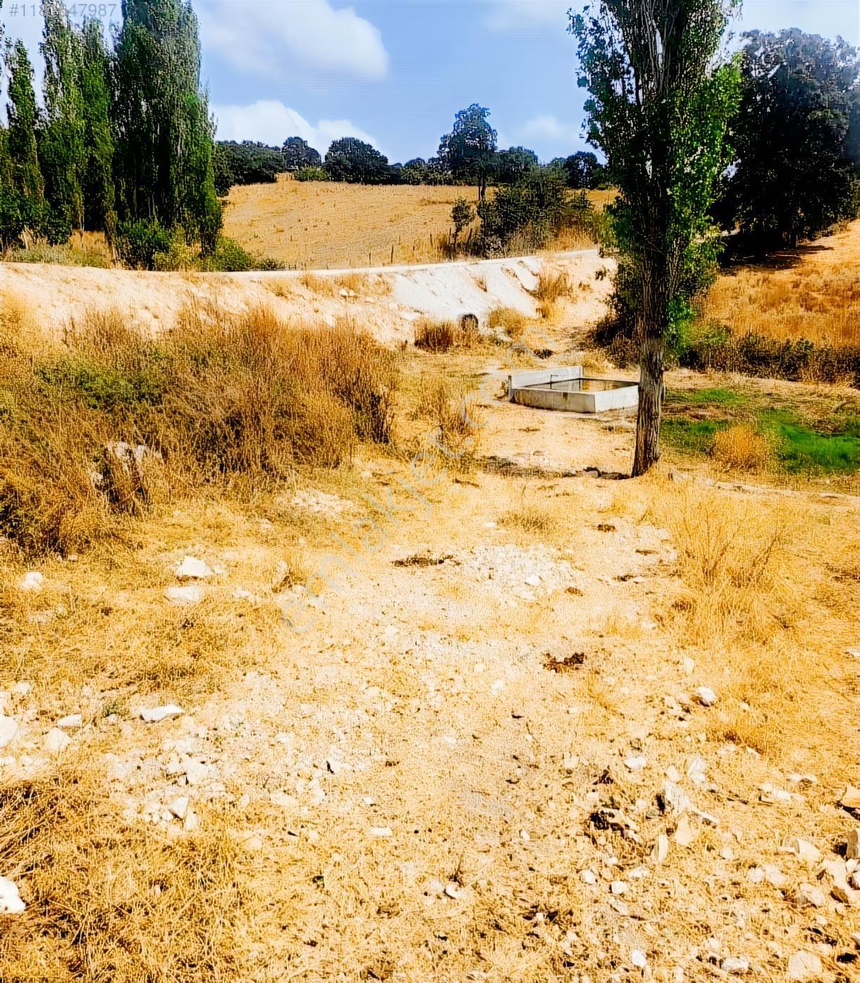 Çanakkale Çan Doğancılar Köyü Yola Cepheli Satılık Bahçe — fotoğraf 8