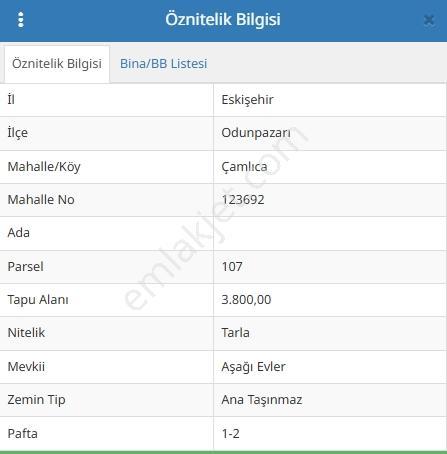 Rw Detaydan Çamlıca Da Satılık Tarla — fotoğraf 2