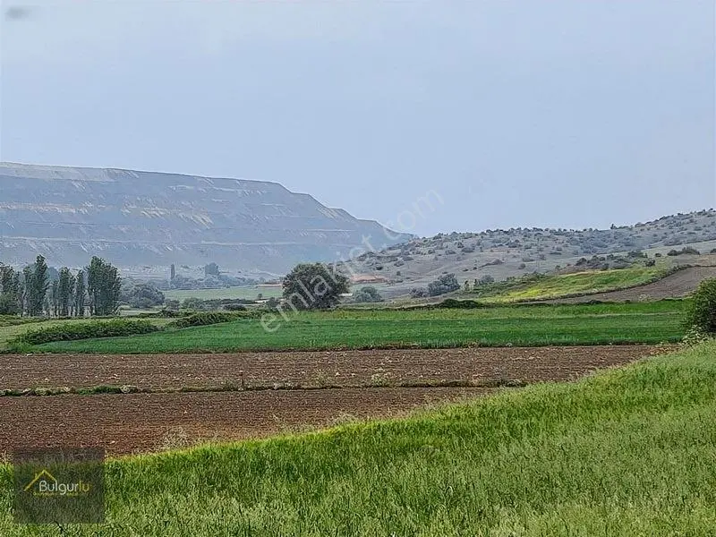 Bigadiç Salmanlıda Yatırımlık Arazi. — fotoğraf 2