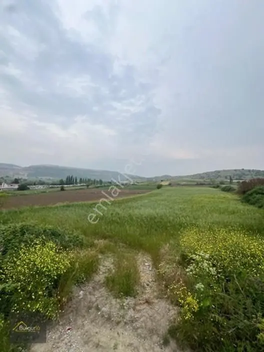 Bigadiç Salmanlıda Yatırımlık Arazi. — fotoğraf 3