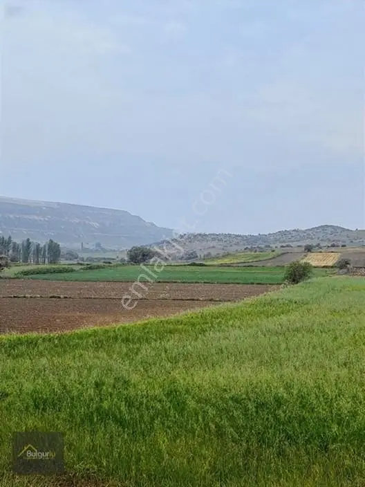 Bigadiç Salmanlıda Yatırımlık Arazi. — fotoğraf 5