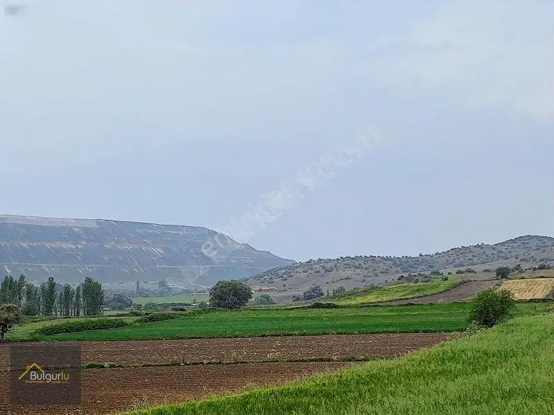 Bigadiç Salmanlıda Yatırımlık Arazi. — fotoğraf 8