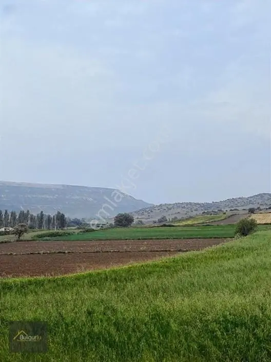 Bigadiç Salmanlıda Yatırımlık Arazi. — fotoğraf 9