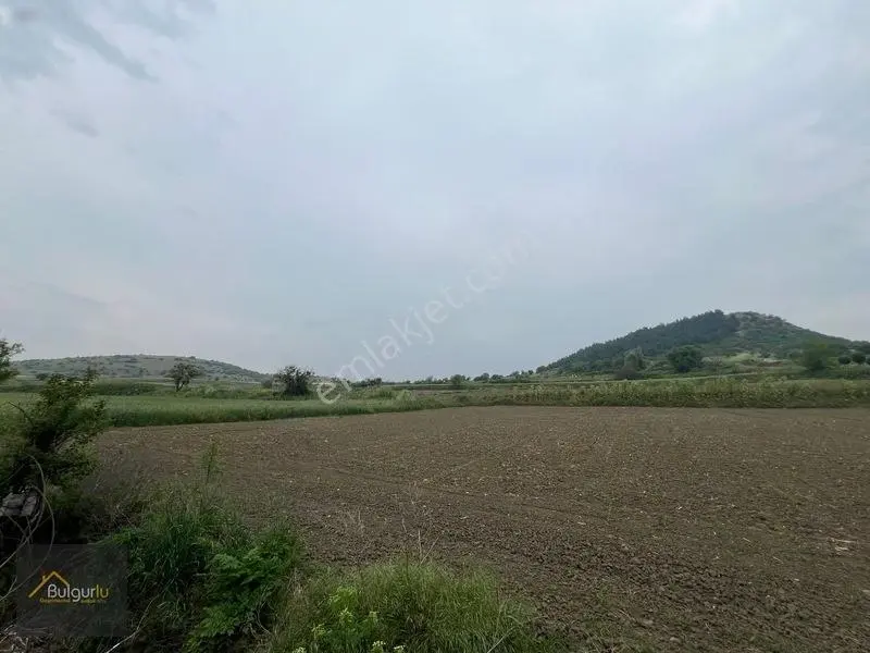 Bigadiç Salmanlıda Yatırımlık Arazi. — fotoğraf 10