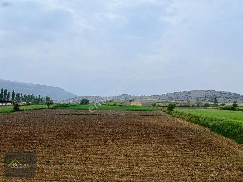 Bigadiç Salmanlıda Yatırımlık Arazi. — fotoğraf 12
